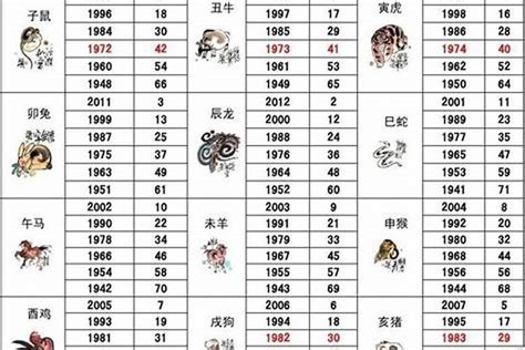 1984是什么鼠|1984年属什么的生肖